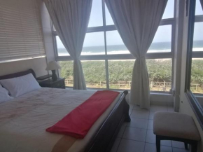 Dromedaris, Amanzimtoti